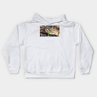 Rattlesnake Kids Hoodie